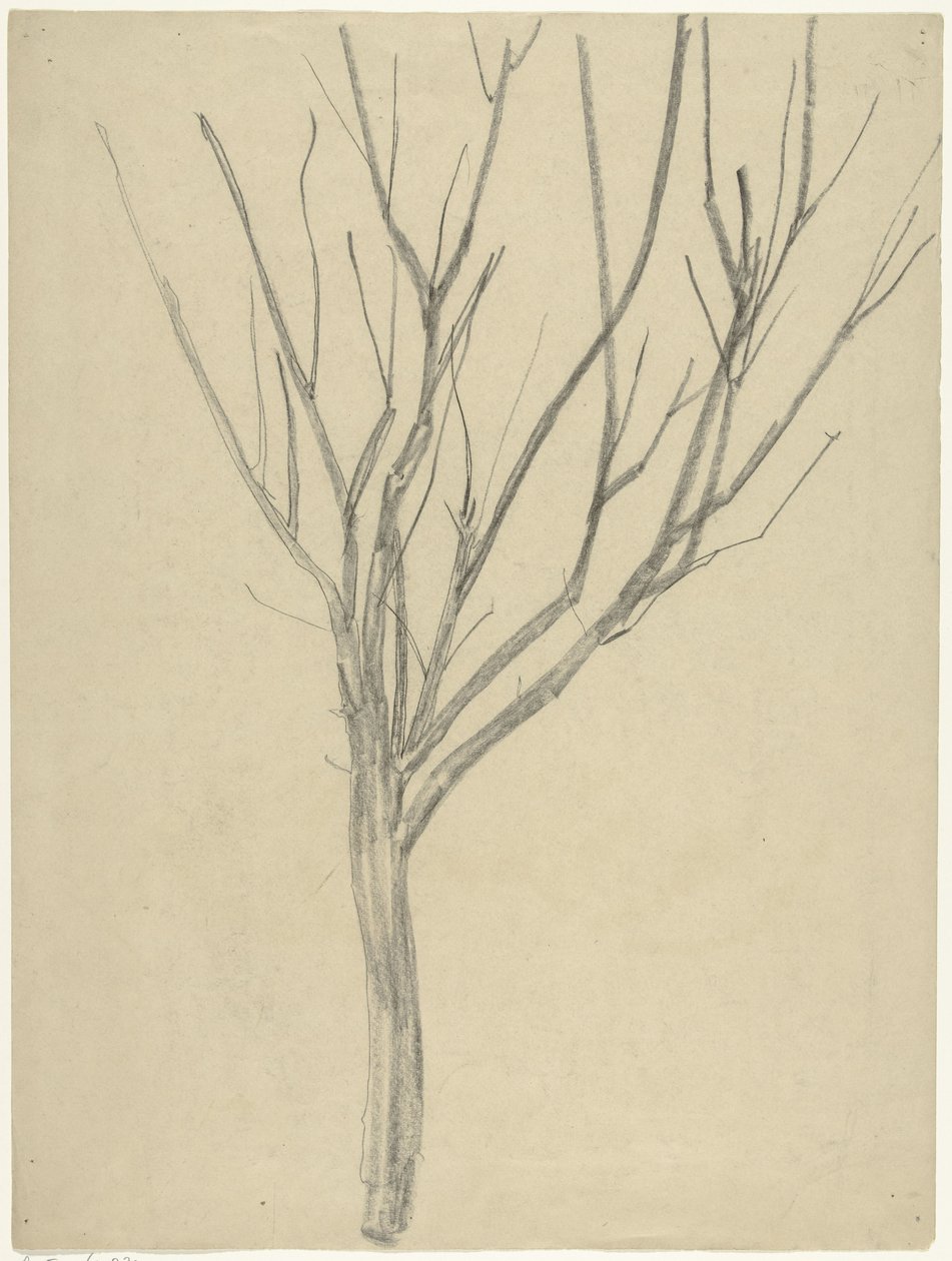 Árbol desnudo de Gerrit Willem Dijsselhof