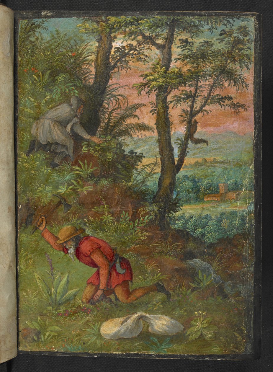 Dos hombres en una zona boscosa, excavando en busca de plantas, de "Pinturas de la flora de los estados romanos" de Gherardo Cibo, Add MS 22333, f003r, c.1564-84 (acuarela y gouache sobre papel) de Gherardo Cibo