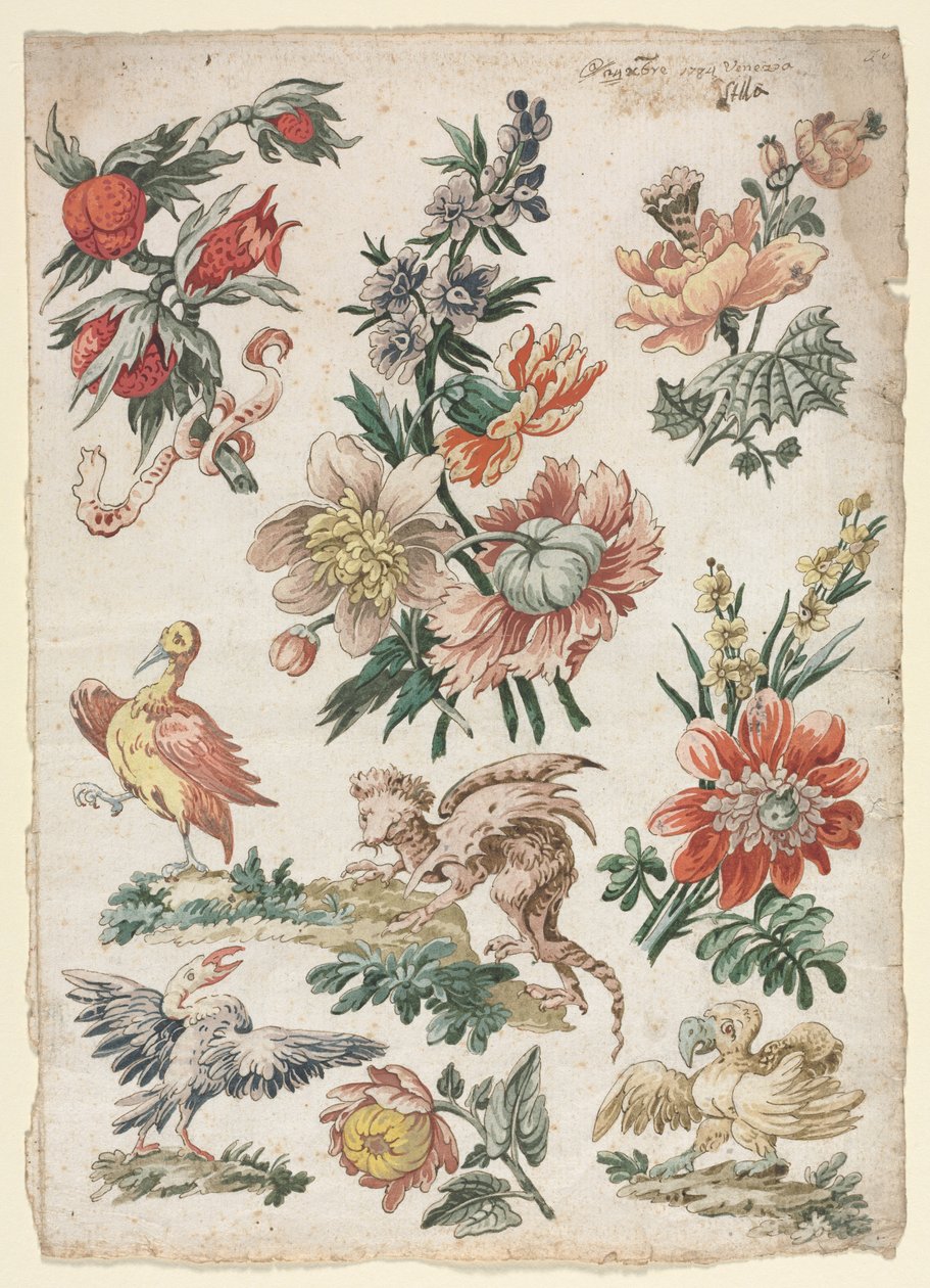 Diseños Florales con Pájaros y Grifo, 1784 de Giacomo Cavenezia
