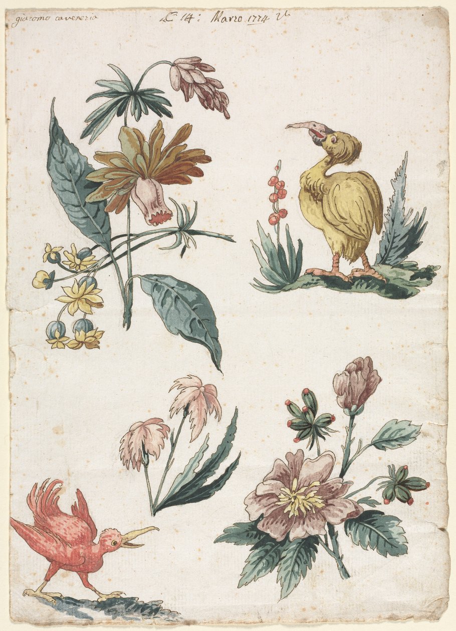 Diseños florales con dos pájaros de Giacomo Cavenezia