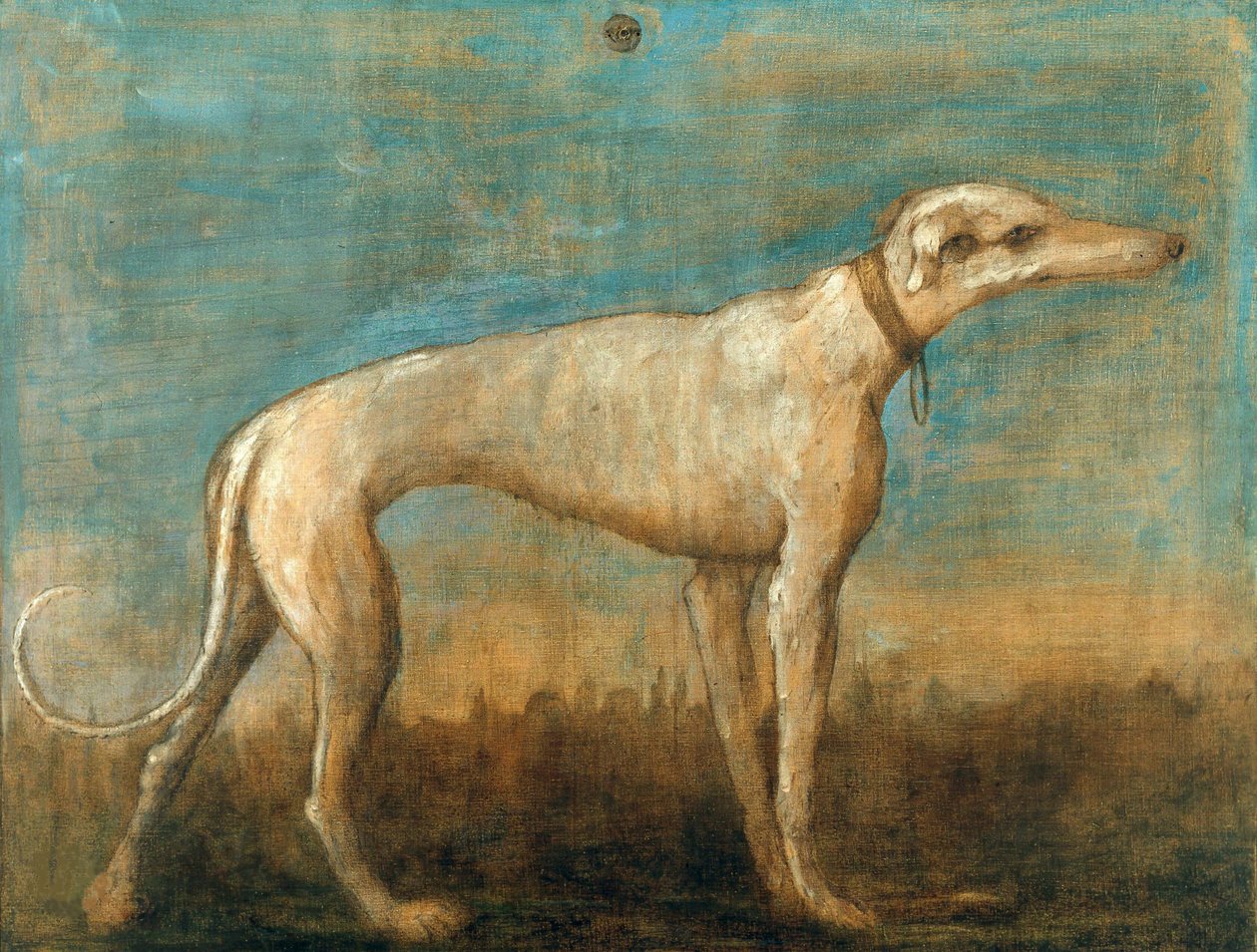 El galgo italiano, c. 1793 de Giambattista Tiepolo