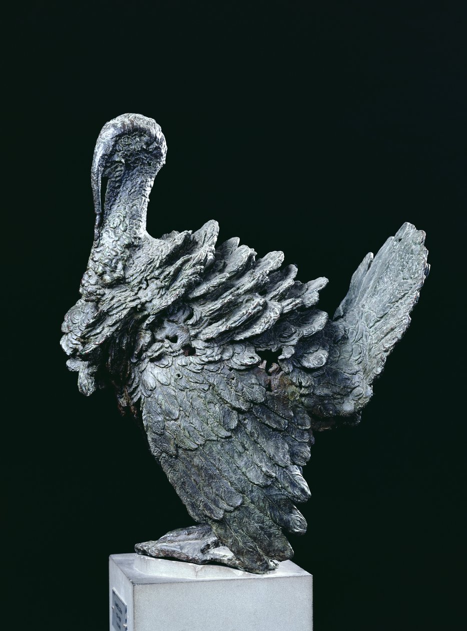 Pavo de Giambologna