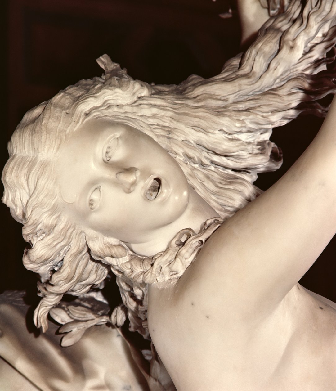 Apolo y Dafne, (detalle) de la cabeza de Dafne de Gian Lorenzo Bernini