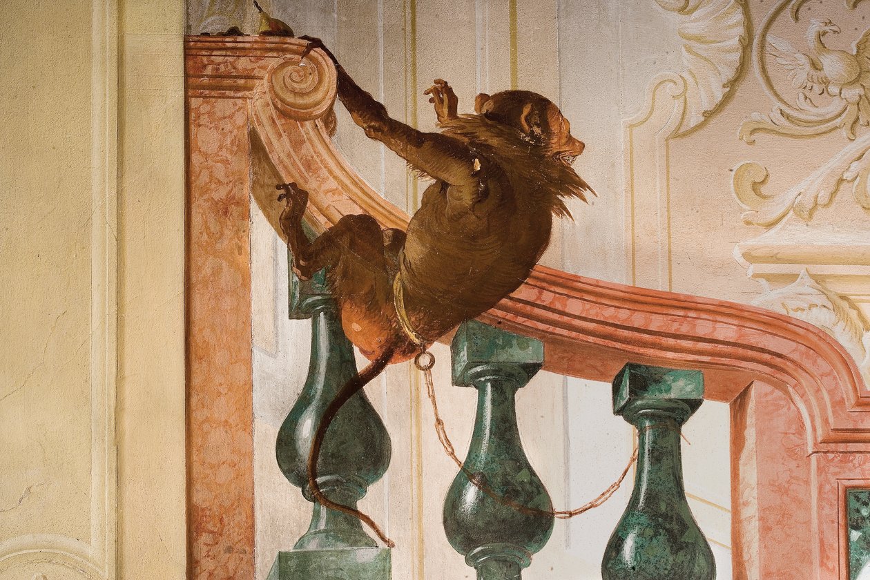 (detalle) de Mono, de la Sala de Escenas de Carnaval en la Foresteria de Giovanni Domenico Tiepolo