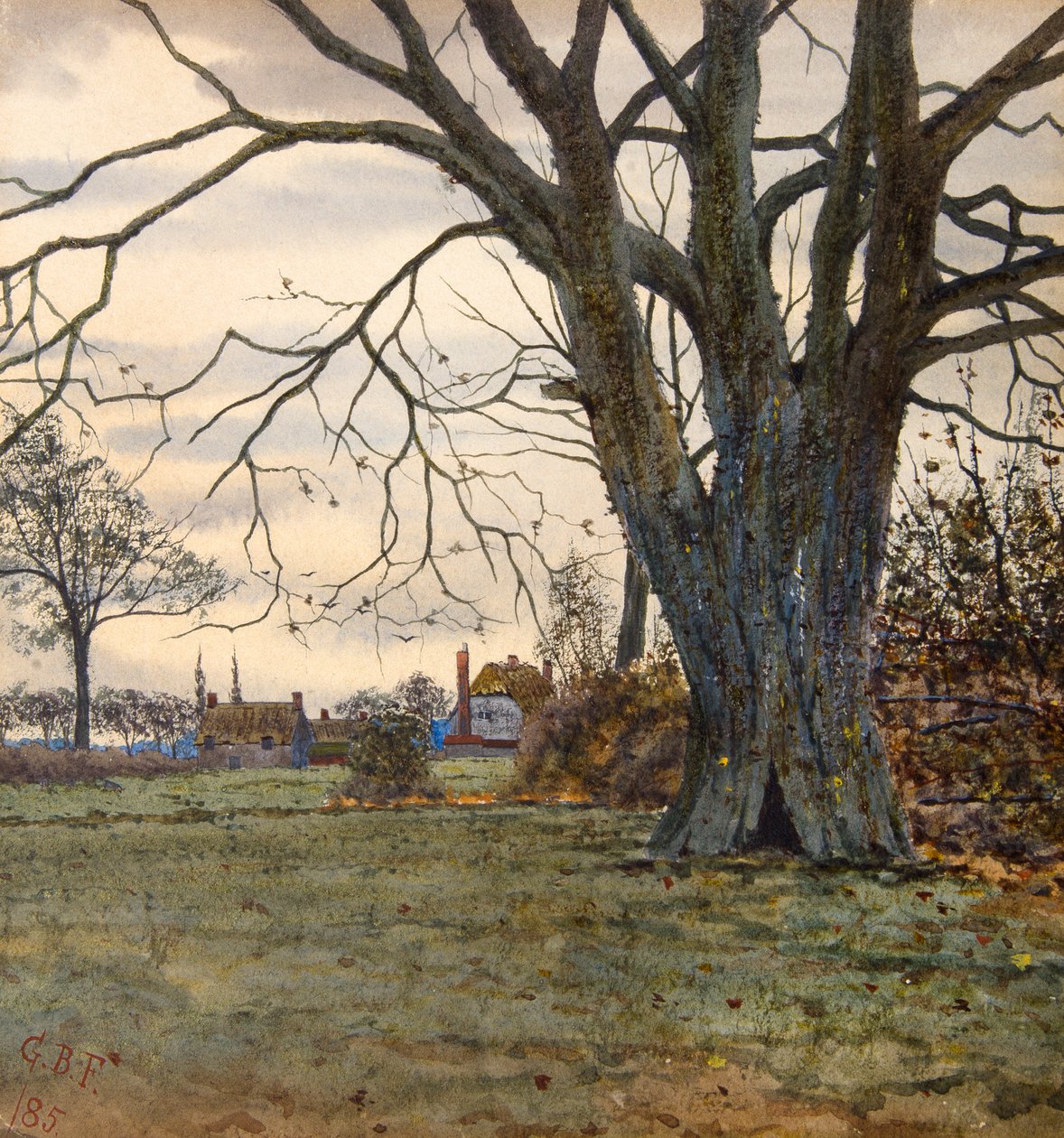 El árbol milenario de Gilbert Baird Fraser