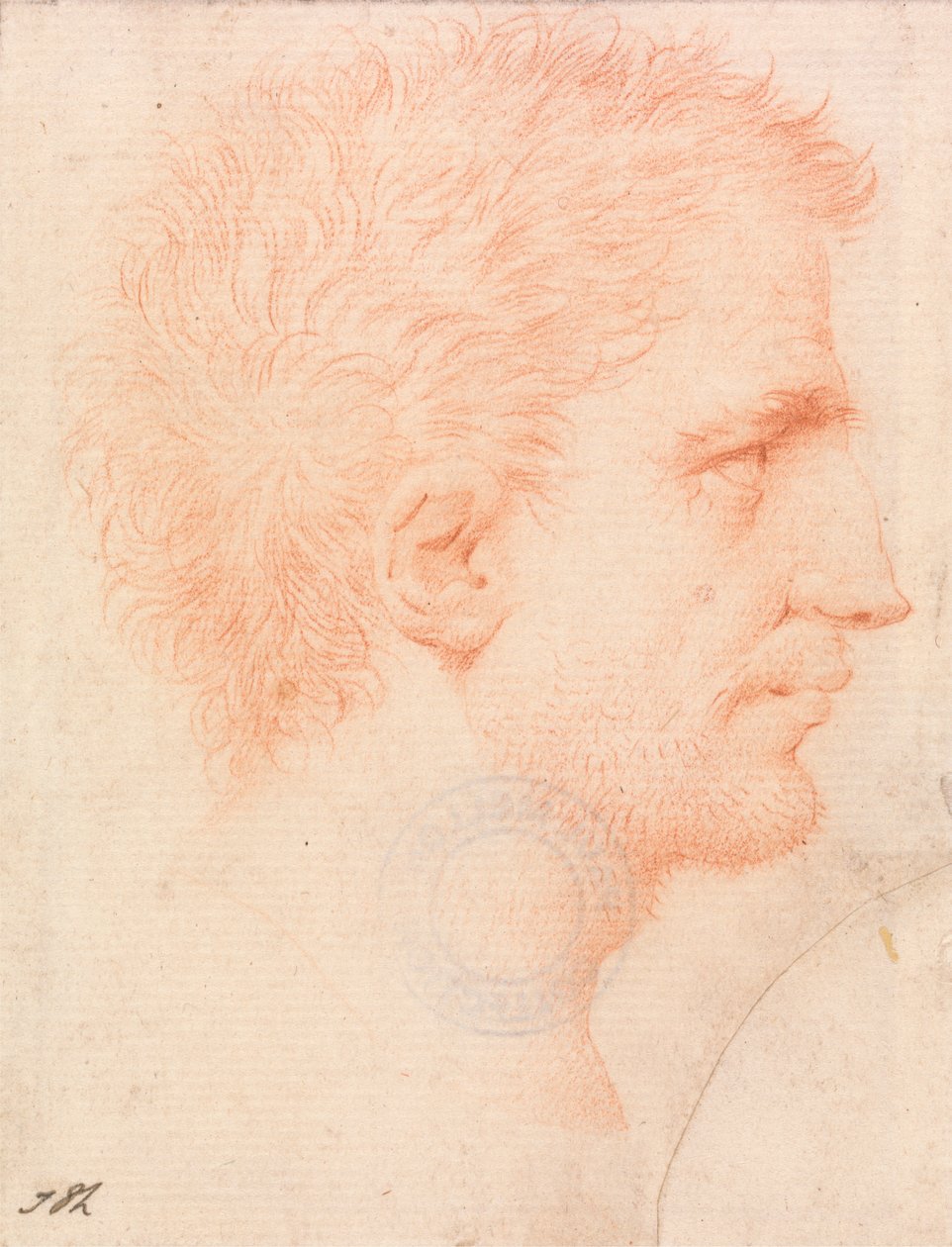 Cabeza de hombre con barba incipiente, mirando a la derecha de Giles Hussey