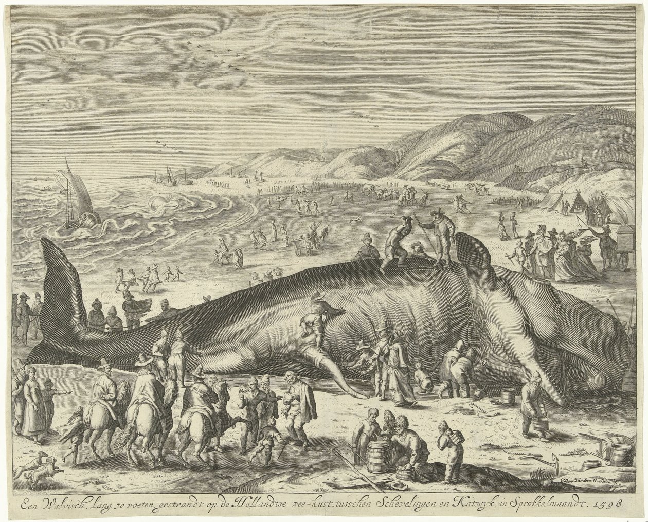 Ballena varada cerca de Berckhey, 1598
Una ballena de 70 pies de largo, varada en la costa marítima holandesa, entre Schevelingen y Katwyk, en Sprokkelmaandt, 1598 (título en el objeto) de Gilliam van der Gouwen