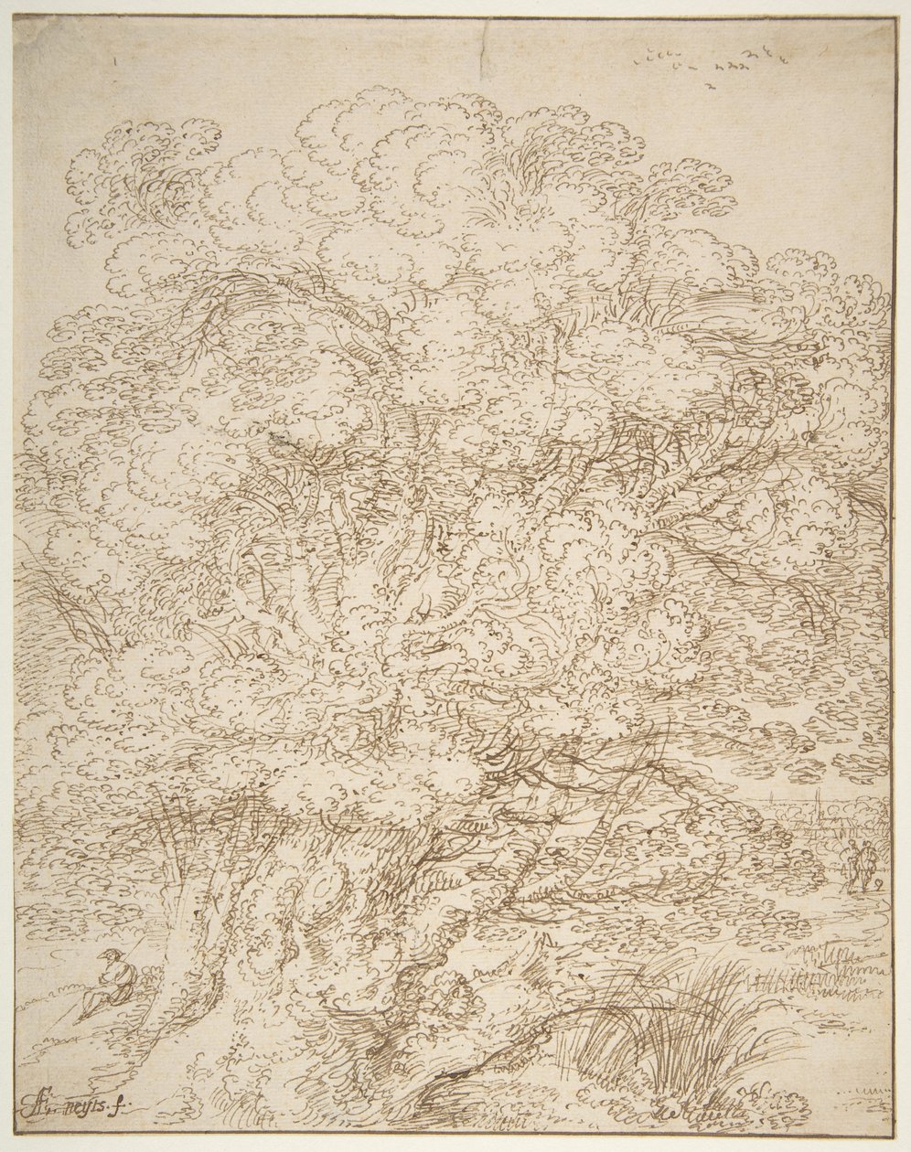 Estudio de un árbol viejo de Gillis Neyts