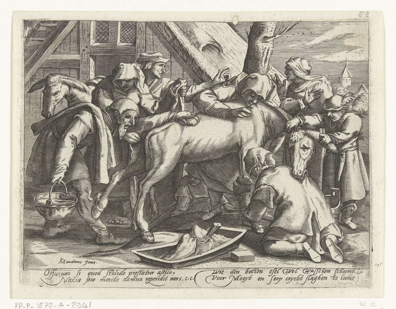 lavando el burro de Gillis van Breen