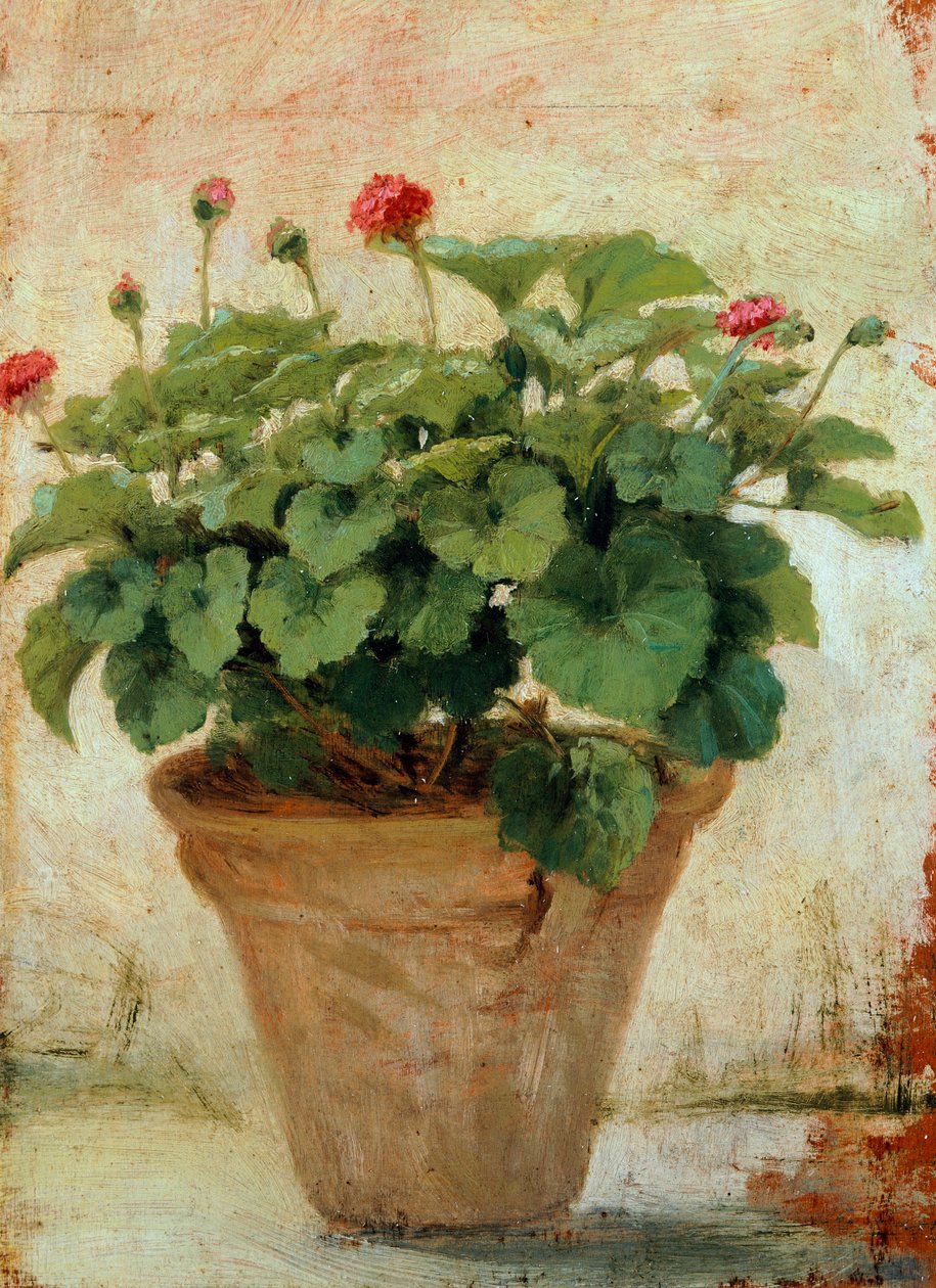 Jarrón con geranio de Gioacchino Toma