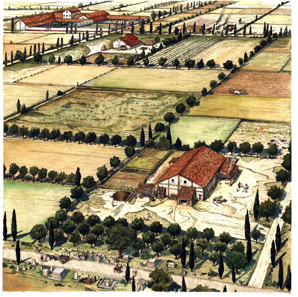 Antigua Roma: reconstrucción de un plan de trazado del territorio conocido como "Centuriación romana" destinado a labrar geométricamente un territorio agrícola en las colonias, siguiendo unidades (o centurias) romanas, Italia. de Giorgio Albertini
