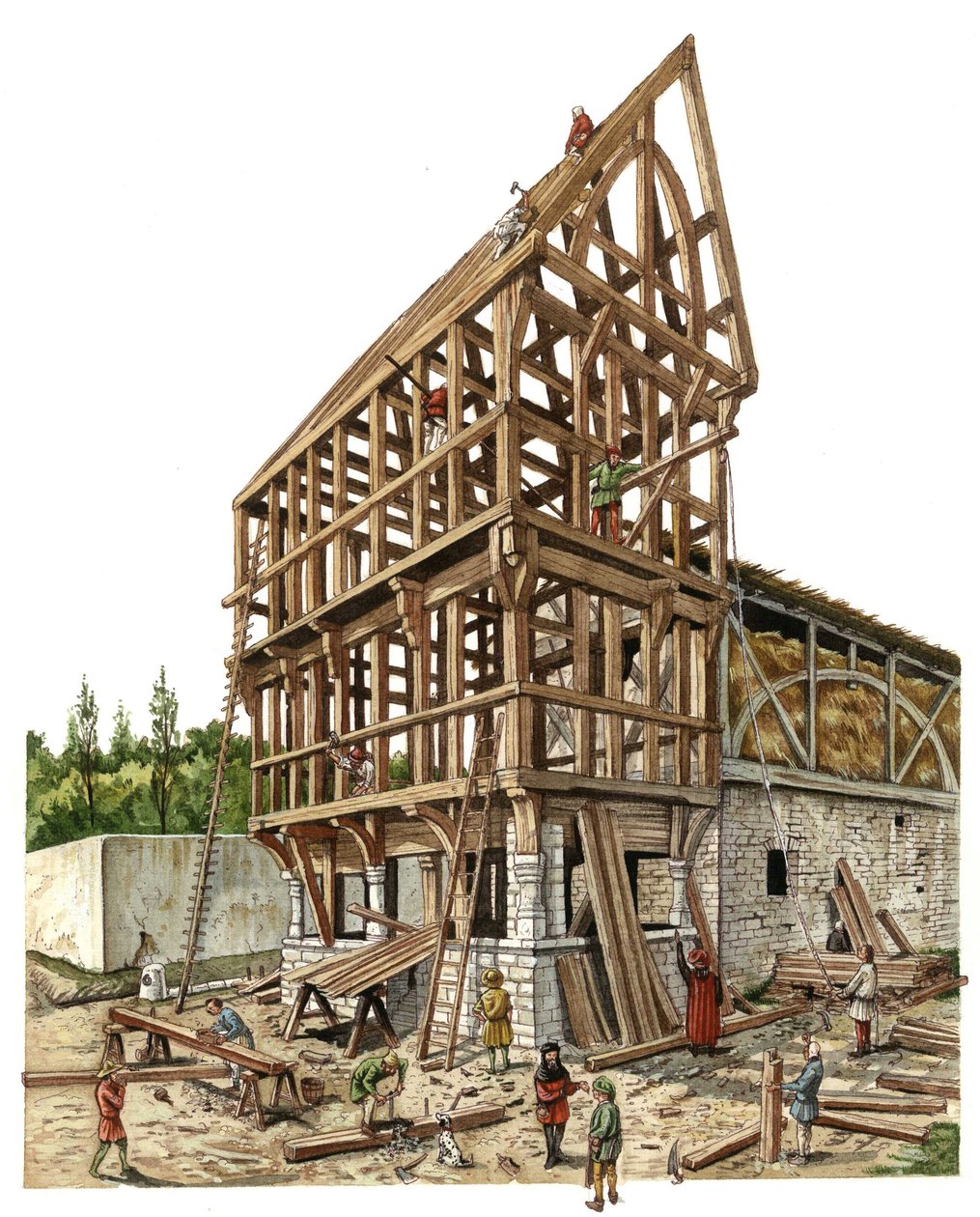 Edad Media: una obra de construcción en una región del norte de Francia en el siglo XIV, carpinteros y ebanistas trabajan en la estructura de madera de un granero. Ilustración de Giorgio Albertini. (La utilización de las obras de este autor no está sujeta  de Giorgio Albertini