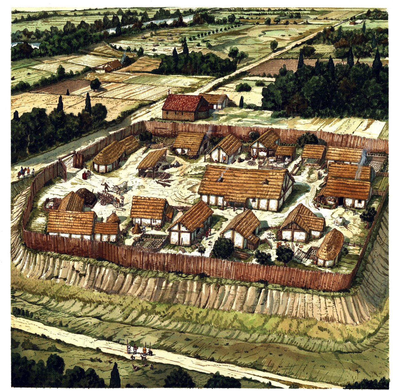 Edad Media: reconstrucción de una Motte (ilustración) de Giorgio Albertini