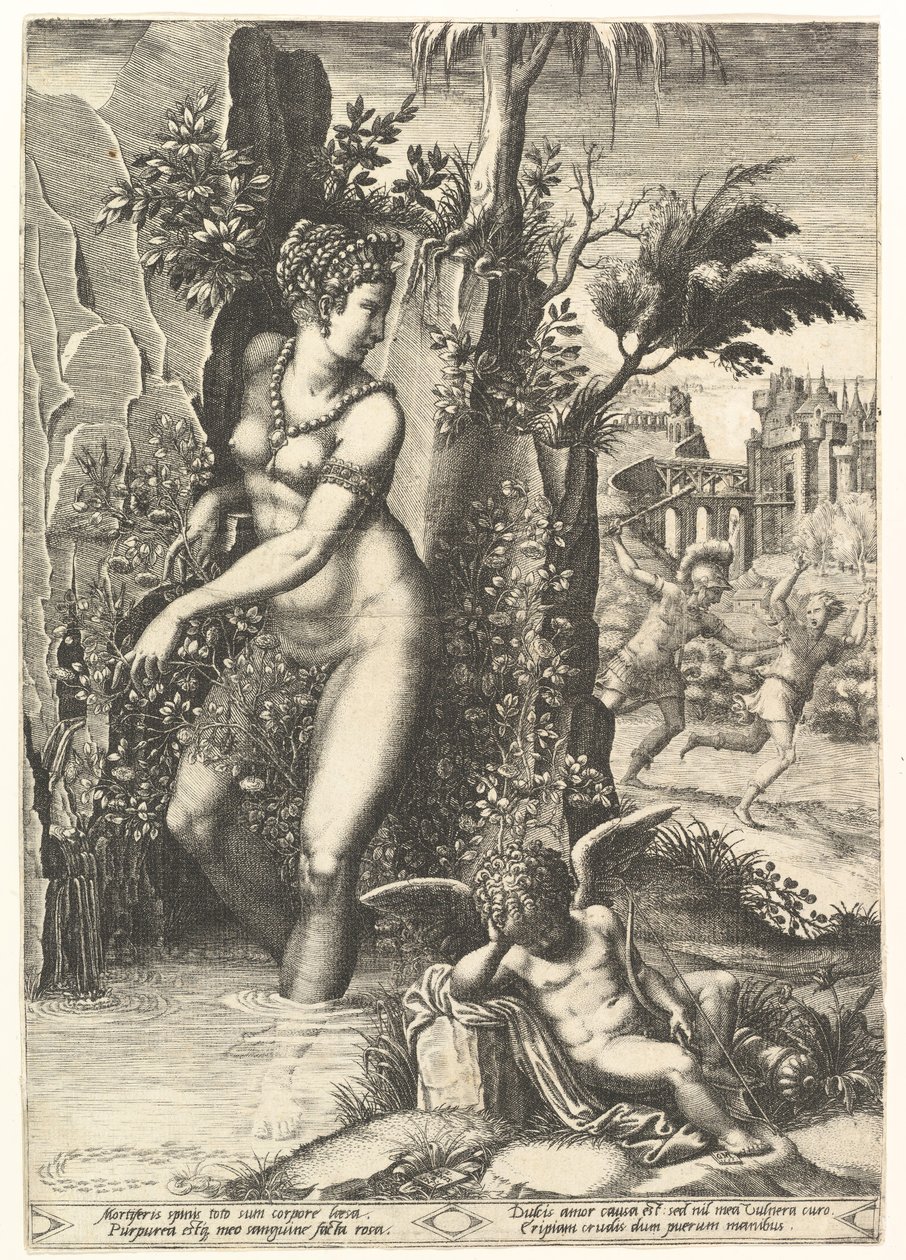 Venus pinchada por las espinas de un rosal, en el fondo Marte persiguiendo a Adonis, 1556 de Giorgio Ghisi
