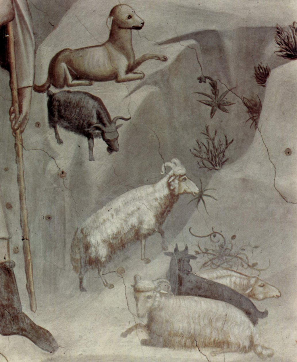 Escenas de la vida de Joaquín: 5. El sueño de Joaquín

 (detalle) de Giotto