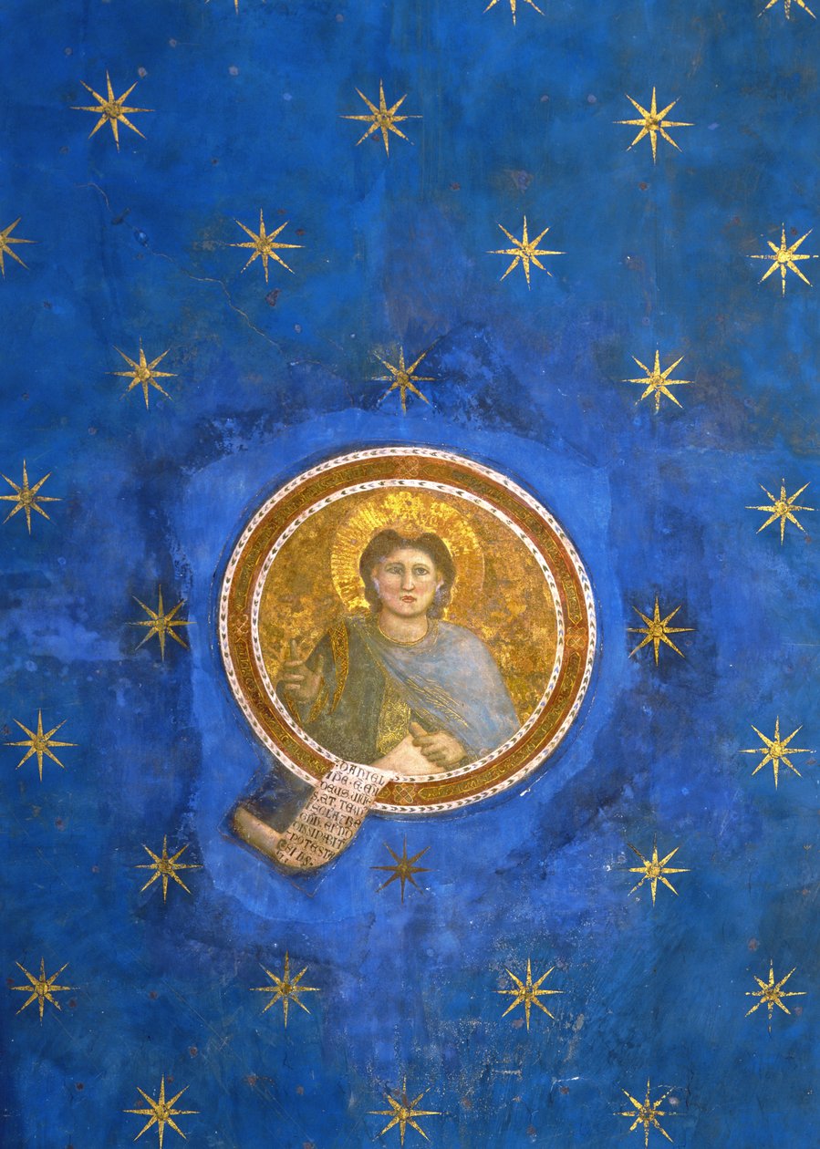 El profeta Daniel, del techo abovedado, c.1305 de Giotto di Bondone