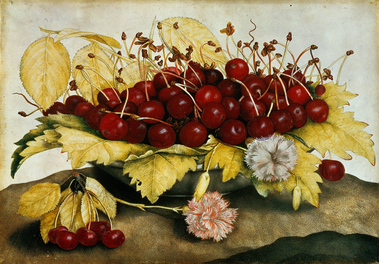 Cerezas y Claveles de Giovanna Garzoni