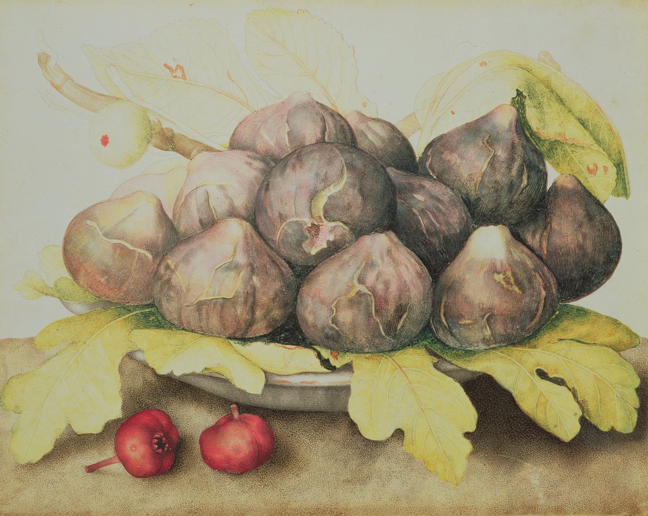 Higos de Giovanna Garzoni