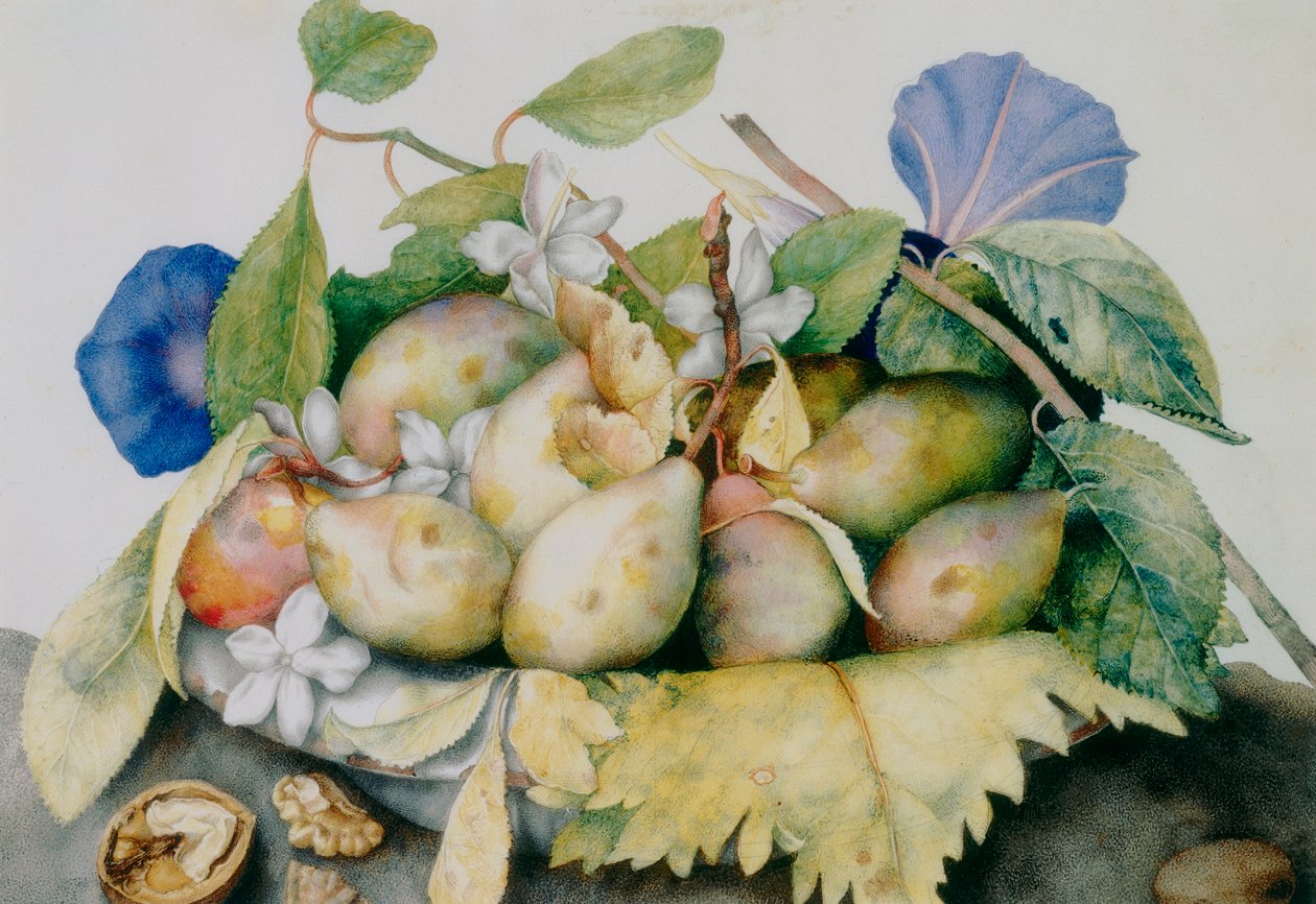 Plato de ciruelas, jazmín y nueces de Giovanna Garzoni