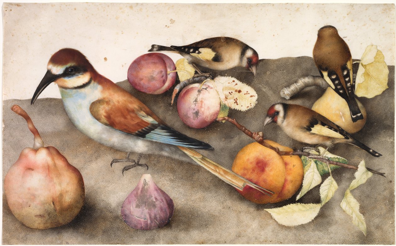Naturaleza muerta con pájaros y frutas de Giovanna Garzoni