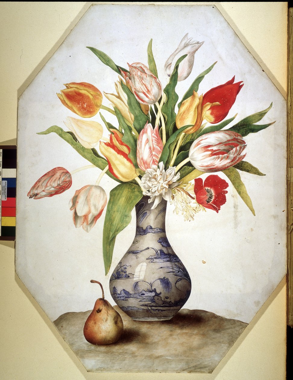 Imagen desconocida de Giovanna Garzoni