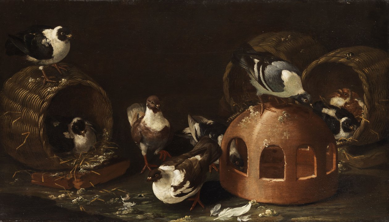 Palomas entre comederos y cestas de Giovanni Agostino Cassana