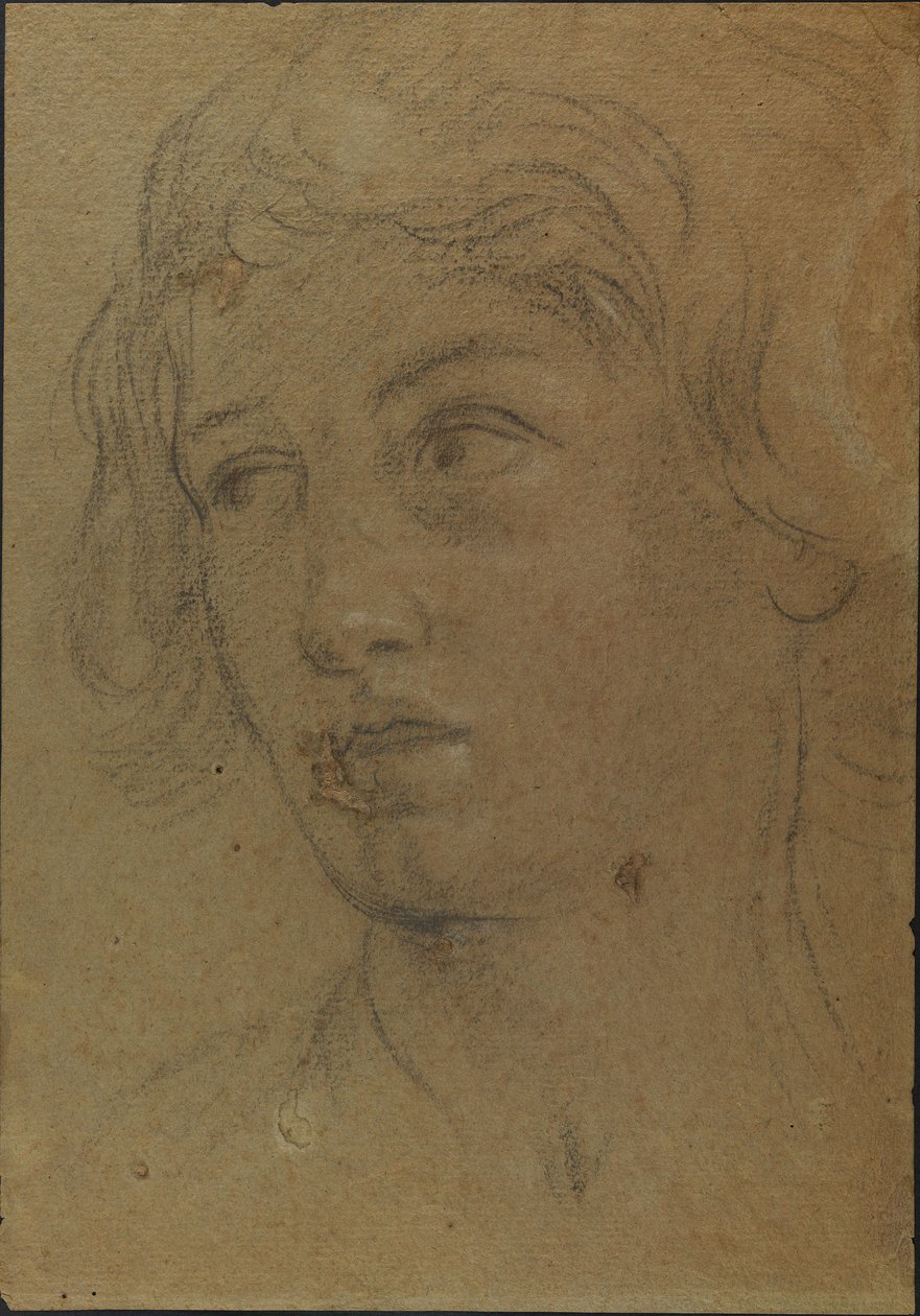 Cabeza de un joven de Giovanni Andrea Sirani
