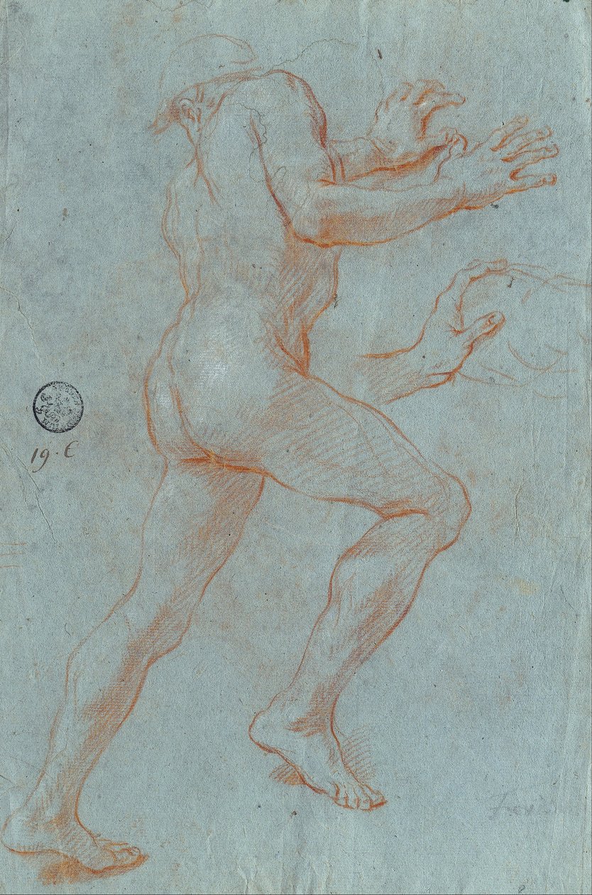 Estudio de un desnudo masculino de Giovanni Antonio Grecolini