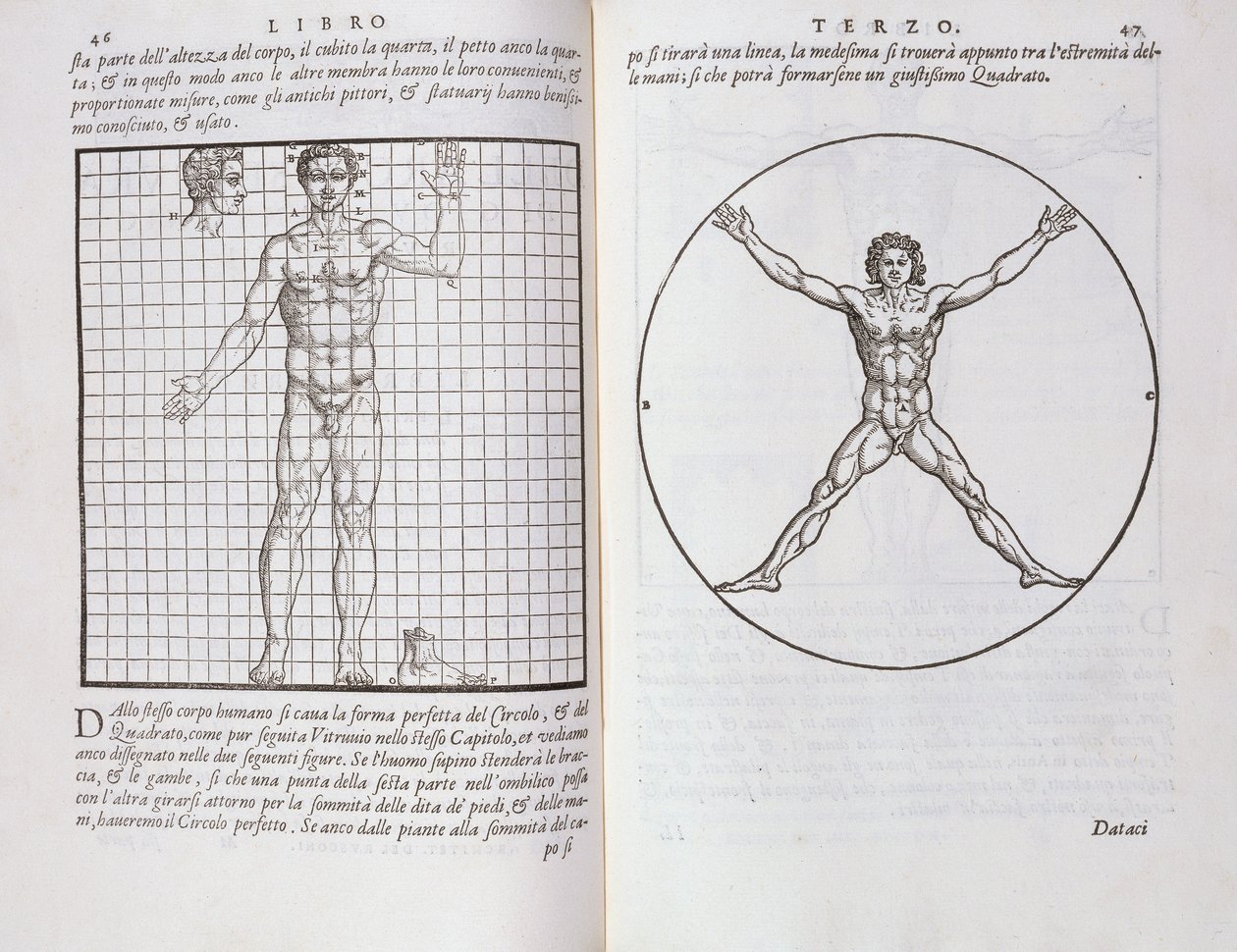Proporciones ideales basadas en el cuerpo humano, de 
