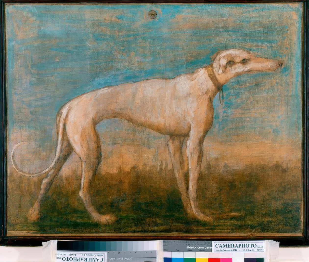 Galgo de Giovanni Battista Tiepolo