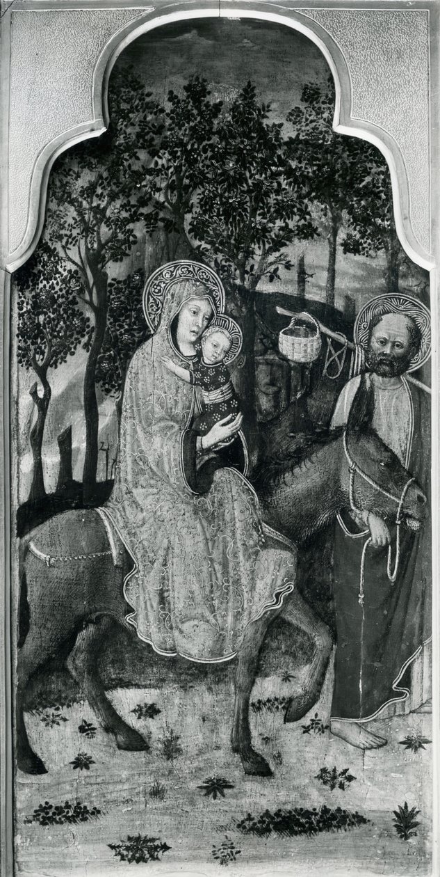 Ciclo de la Vida de la Virgen, Huida a Egipto, c.1445 de Giovanni Francesco da Rimini