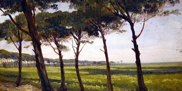 Una Línea de Viejos Pinos de Giovanni Costa