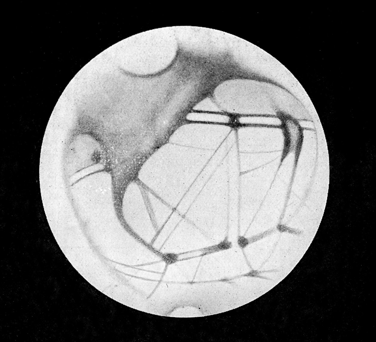 Los canales dobles de Marte (canales marcianos o canales canali), después de Giovanni Virginio Schiaparelli (1835-1910), astrónomo italiano (1890) - en "El Cielo" por Alphonse Berget, Larousse de Giovanni (after) Schiaparelli