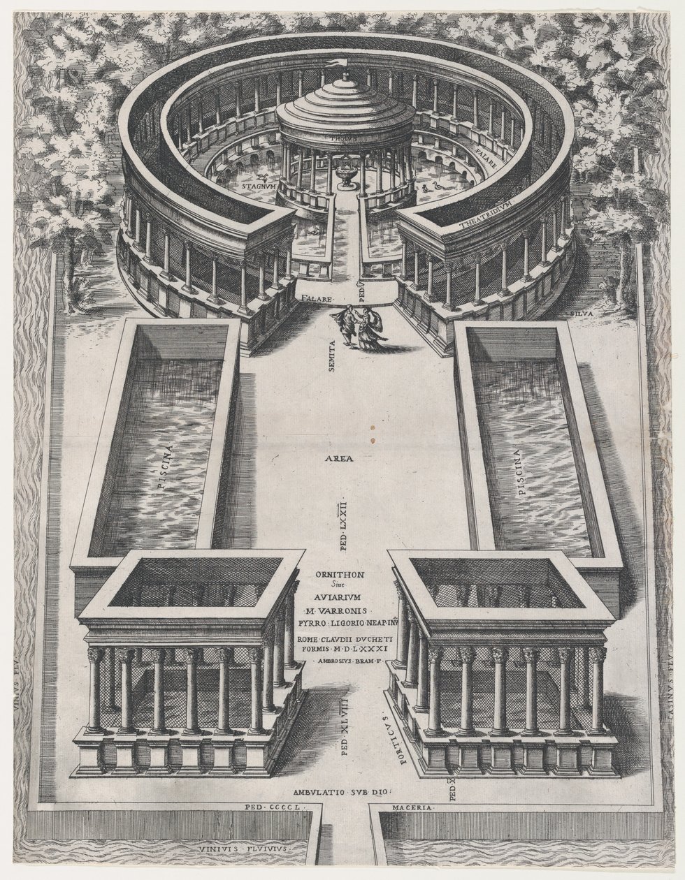 Speculum Romanae Magnificentiae: Ornithon Sive Aviarum de Giovanni Ambrogio Brambilla