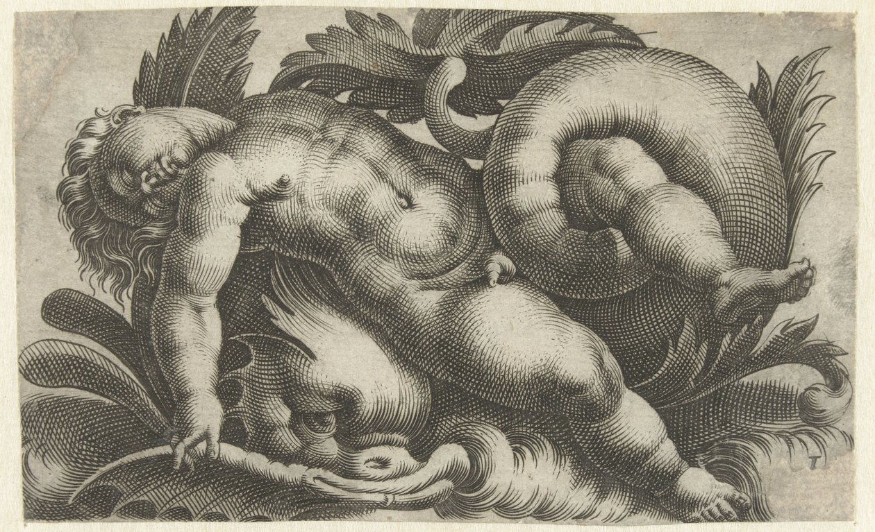 Putto durmiendo sobre delfines Putti sobre criaturas marinas (título de la serie) de Giovanni Andrea Maglioli