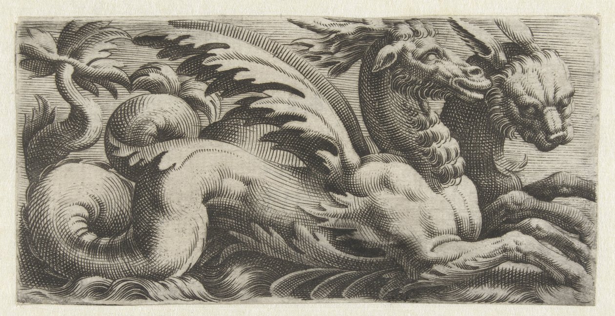 Dos criaturas marinas una al lado de la otra Frisones con monstruos marinos (título de la serie) de Giovanni Andrea Maglioli