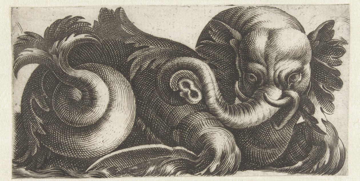 Elefante marino con orejas de hojas Frisones con monstruos marinos (título de la serie) de Giovanni Andrea Maglioli