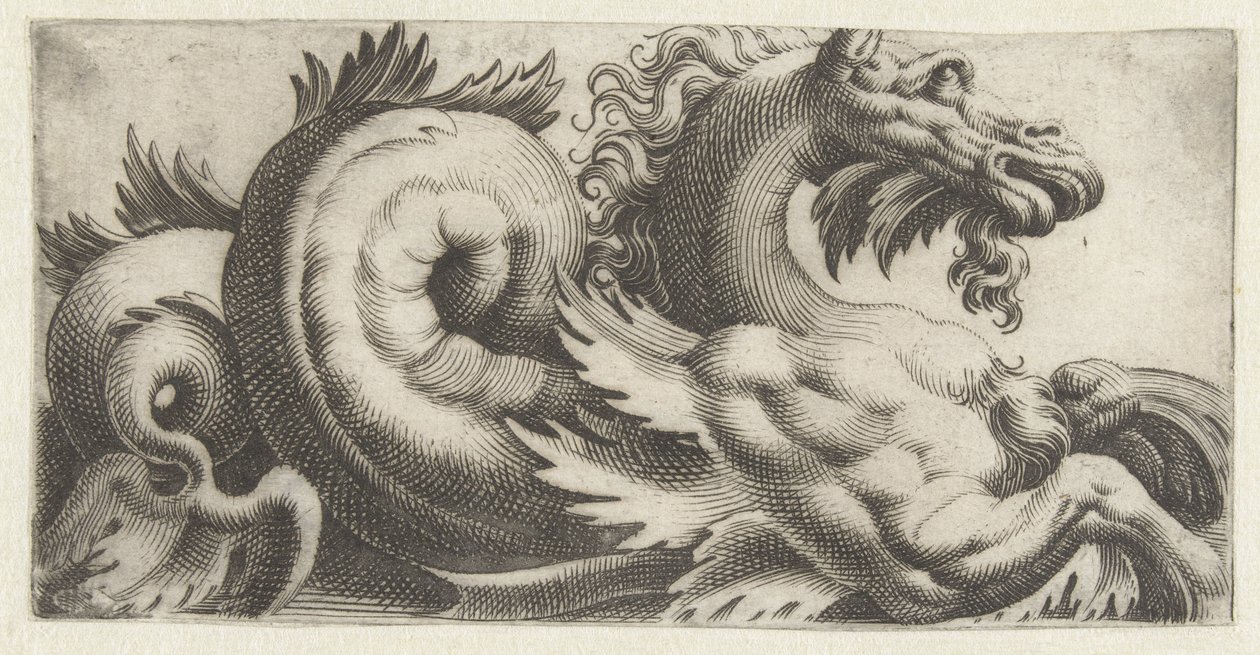 Caballito de mar con aletas en forma de hoja y perilla Frisones con monstruos marinos (título de la serie) de Giovanni Andrea Maglioli