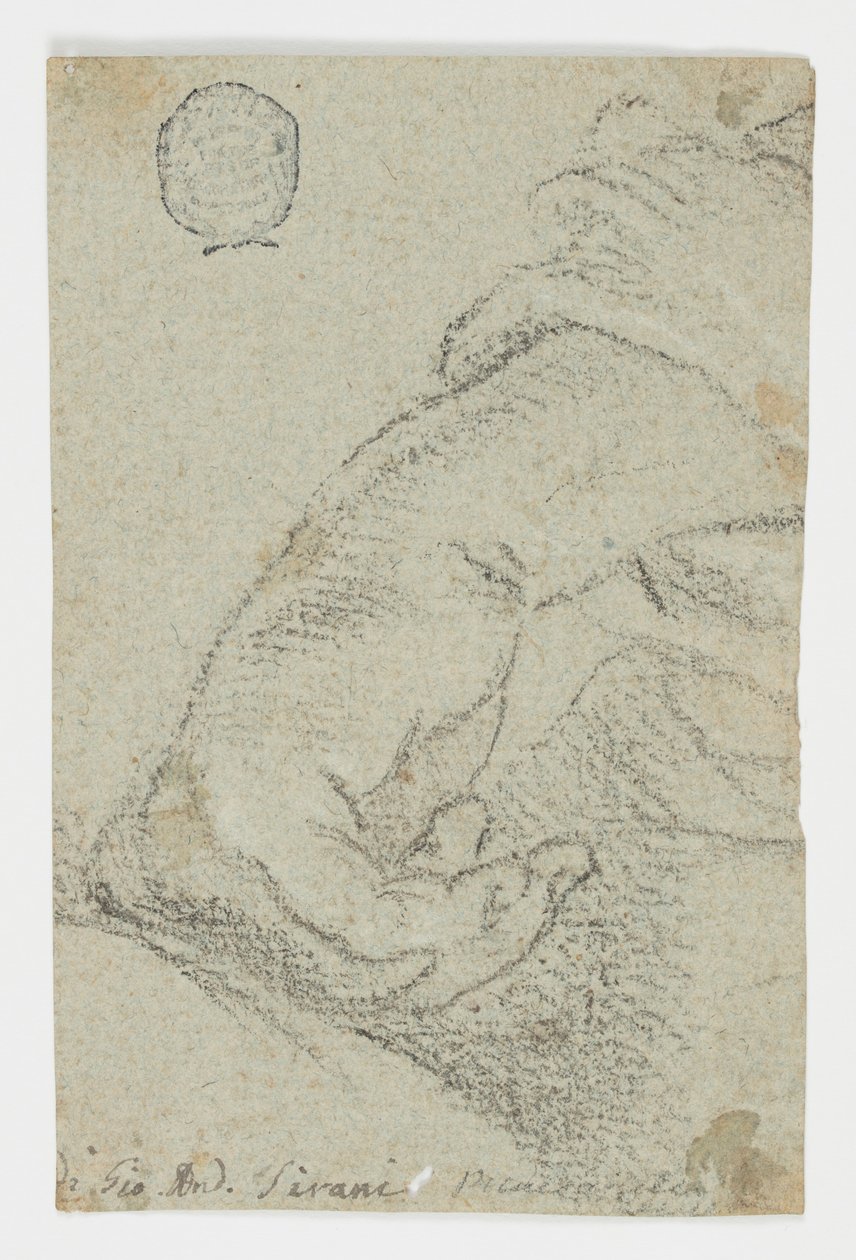 Dibujo, Estudio: Una mano izquierda en posición inclinada, hacia 1650 de Giovanni Andrea Sirani