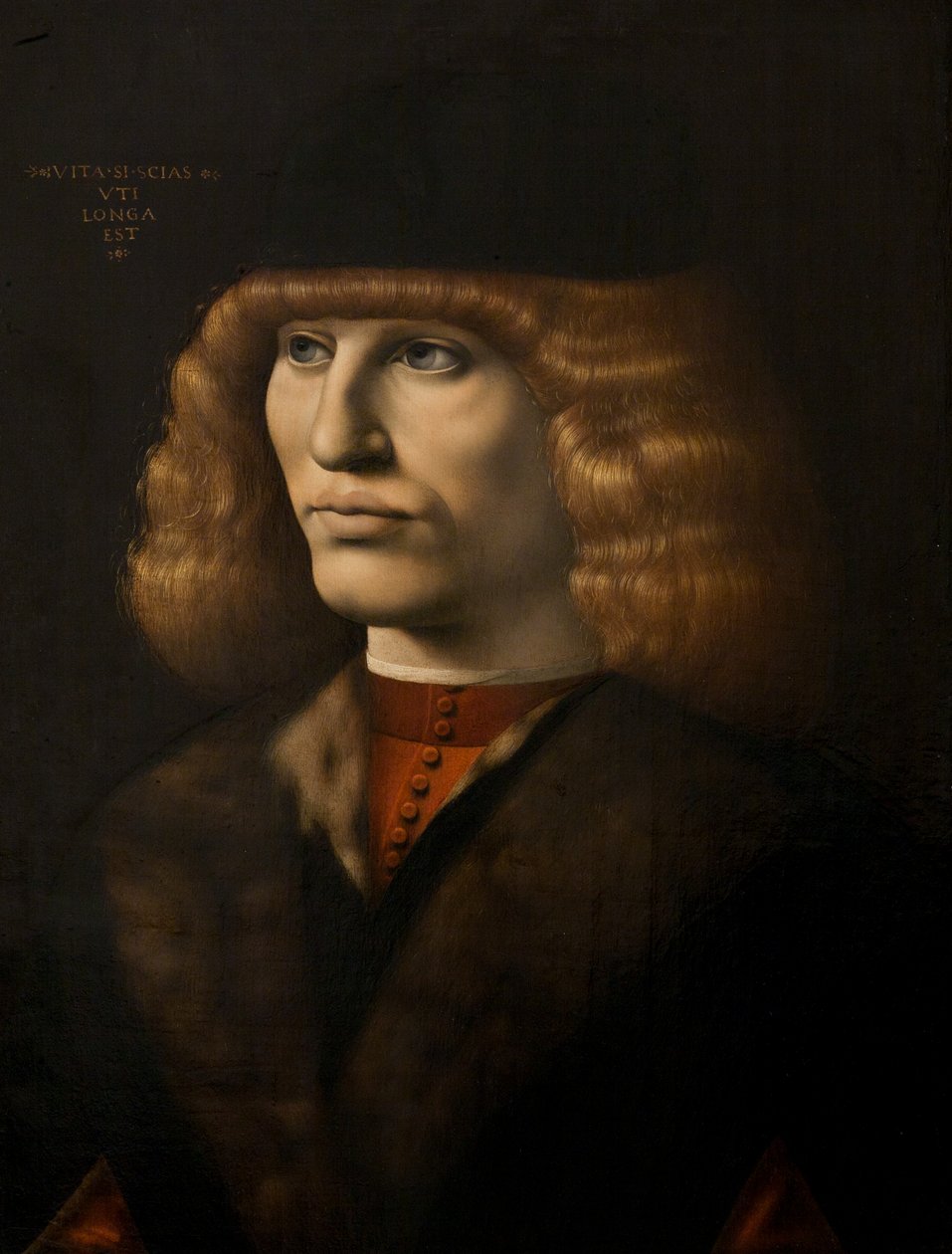 Retrato de un joven, c.1500 de Giovanni Antonio Boltraffio