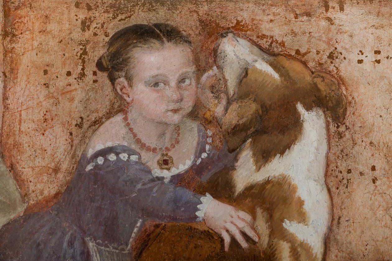 Niña y perro, detalle de El banquete, c.1570 (fresco) de Giovanni Antonio Fasolo