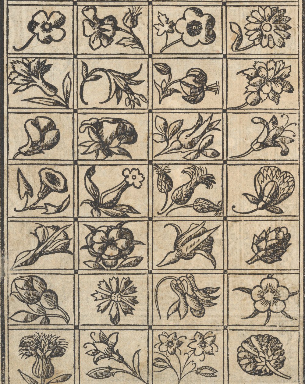 Essempio di recammi, página 10 verso, 1530 de Giovanni Antonio Tagliente