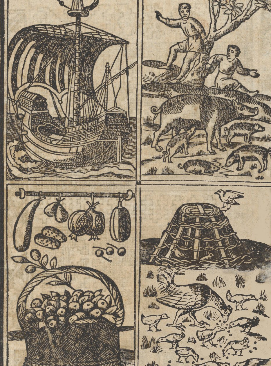 Essempio di recammi, página 9 recto de Giovanni Antonio Tagliente