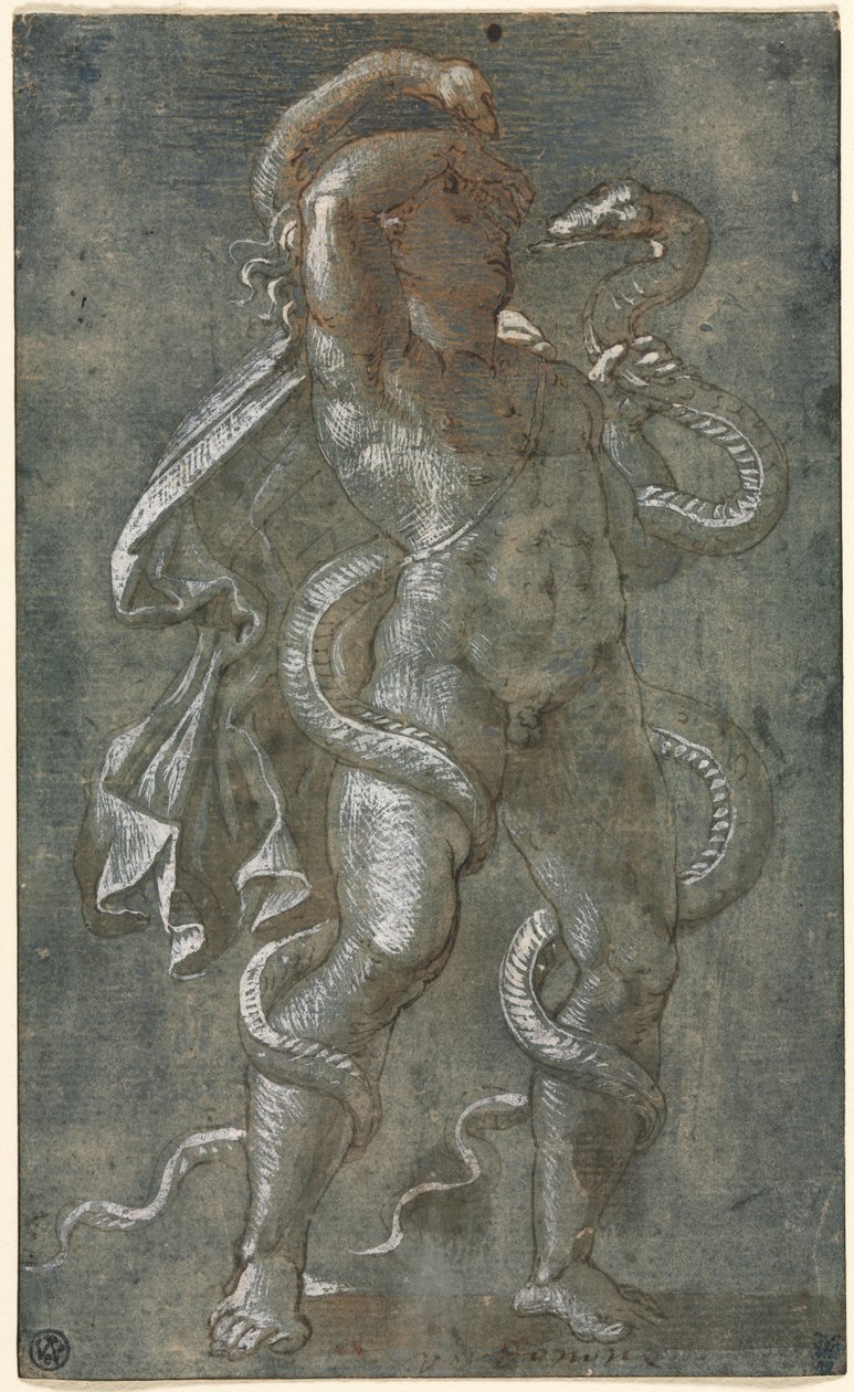 Hombre Enredado por Dos Serpientes de Giovanni Antonio da Pordenone