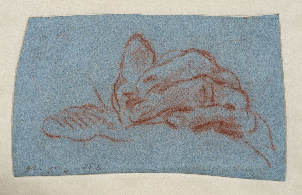 Estudio de una mano izquierda, c.1750-1754 (tiza roja con calco sobre papel verjurado azul) de Giovanni Battista (attr. to) Tiepolo
