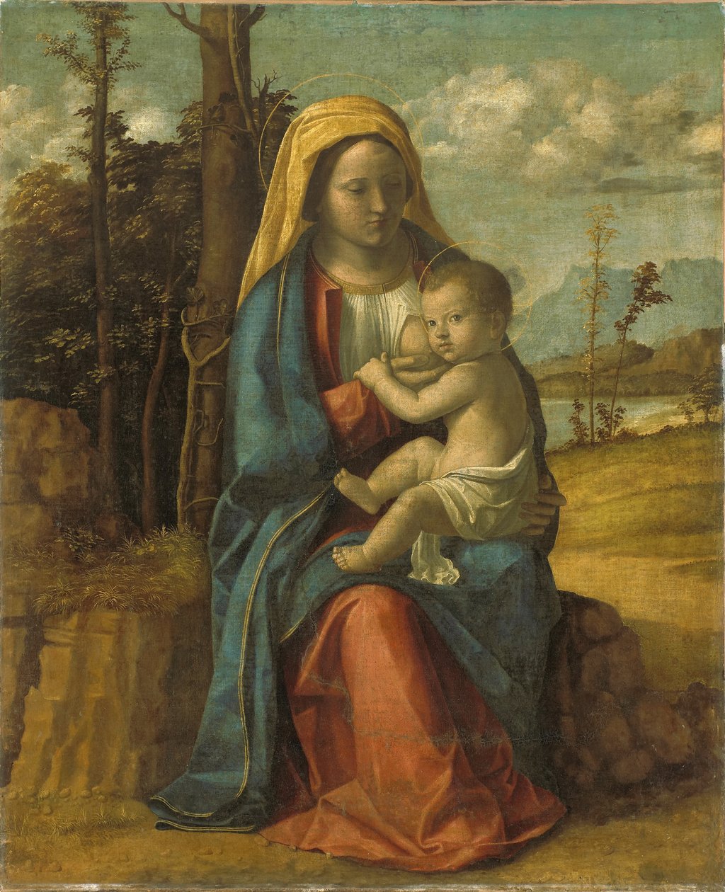 Virgen con el Niño de Giovanni Battista Cima da Conegliano