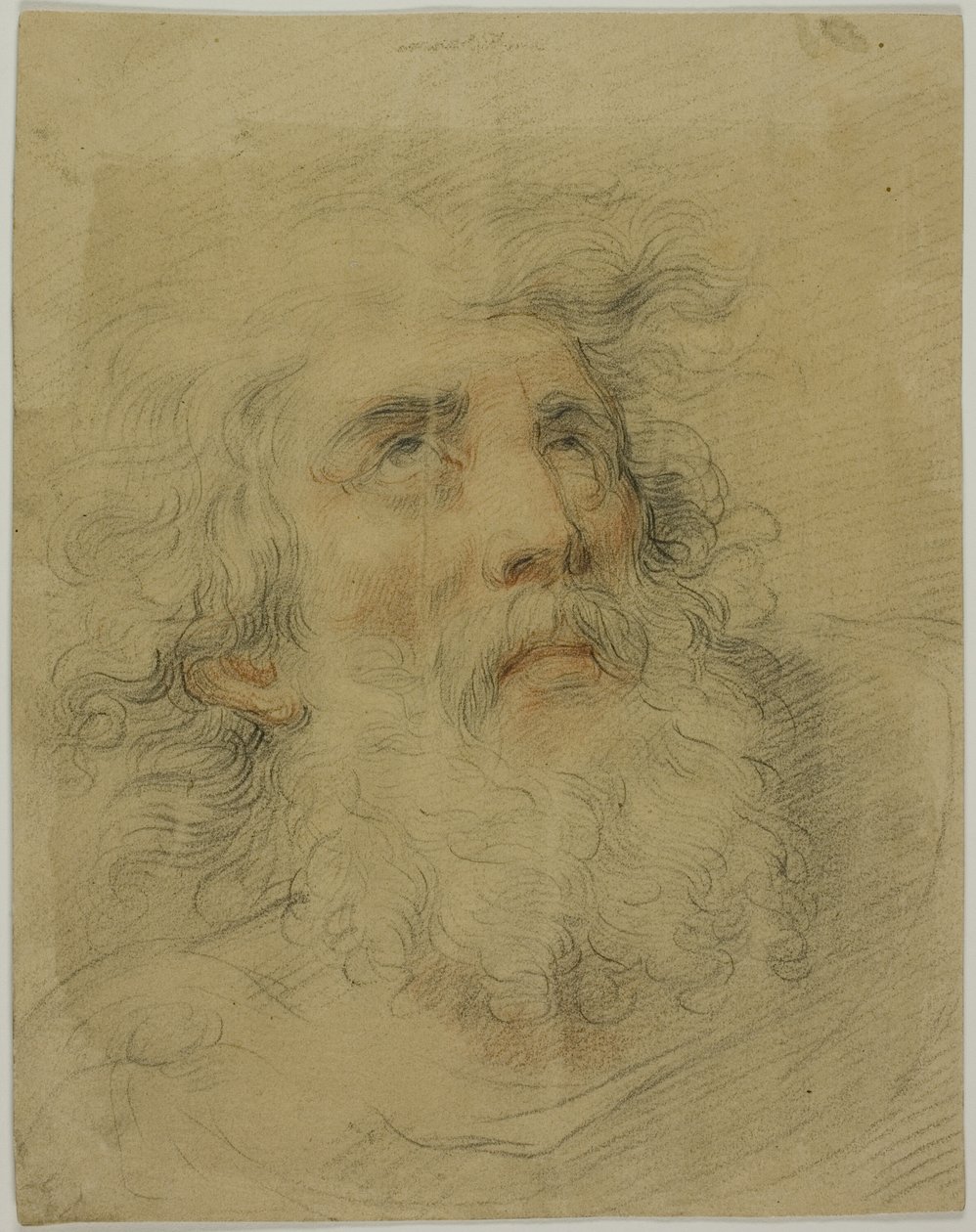 Cabeza del Rey Lear de Giovanni Battista Cipriani
