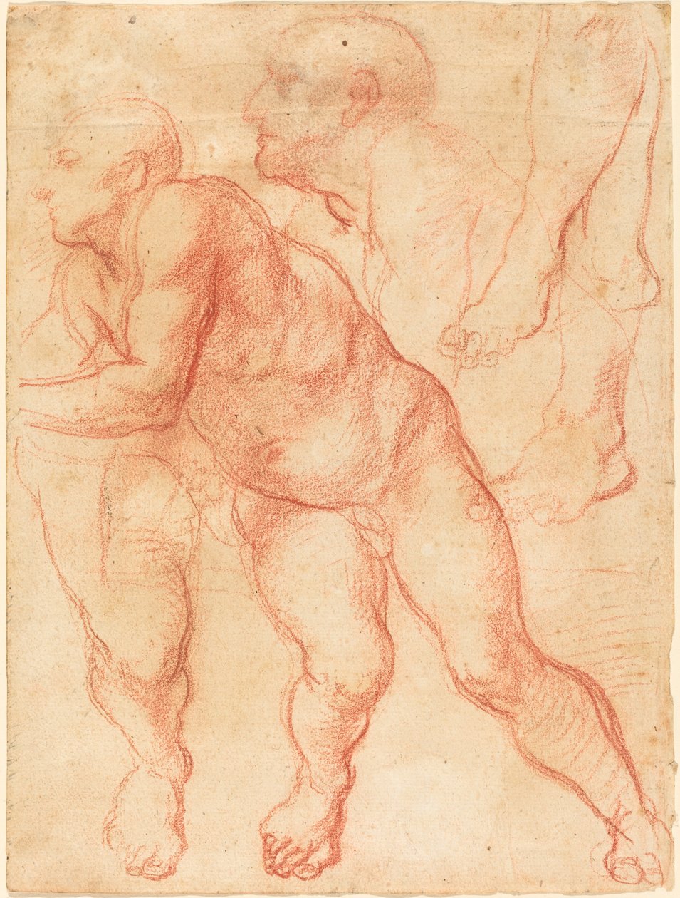 Estudios de un Desnudo Masculino de Giovanni Battista Naldini