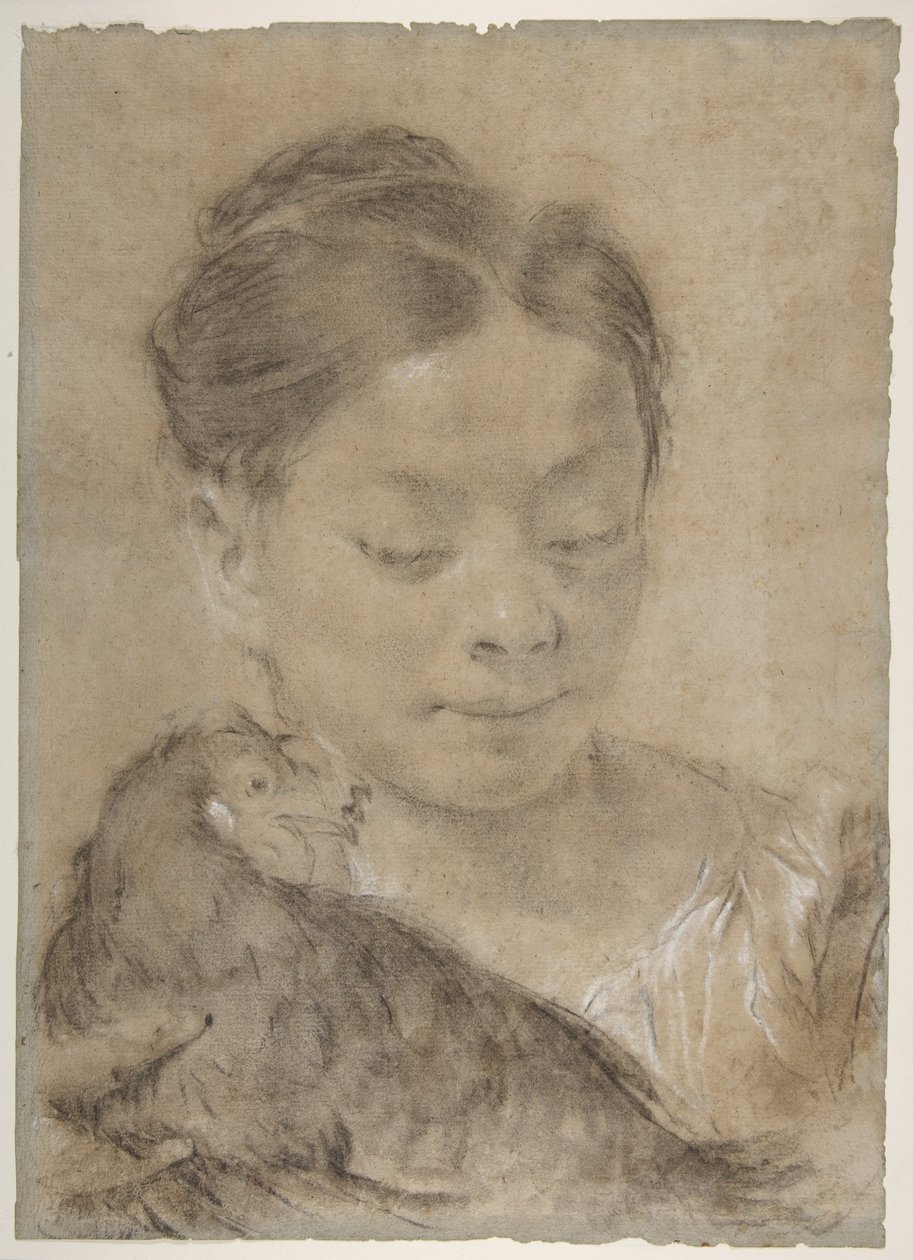 Niña con una gallina de Giovanni Battista Piazzetta