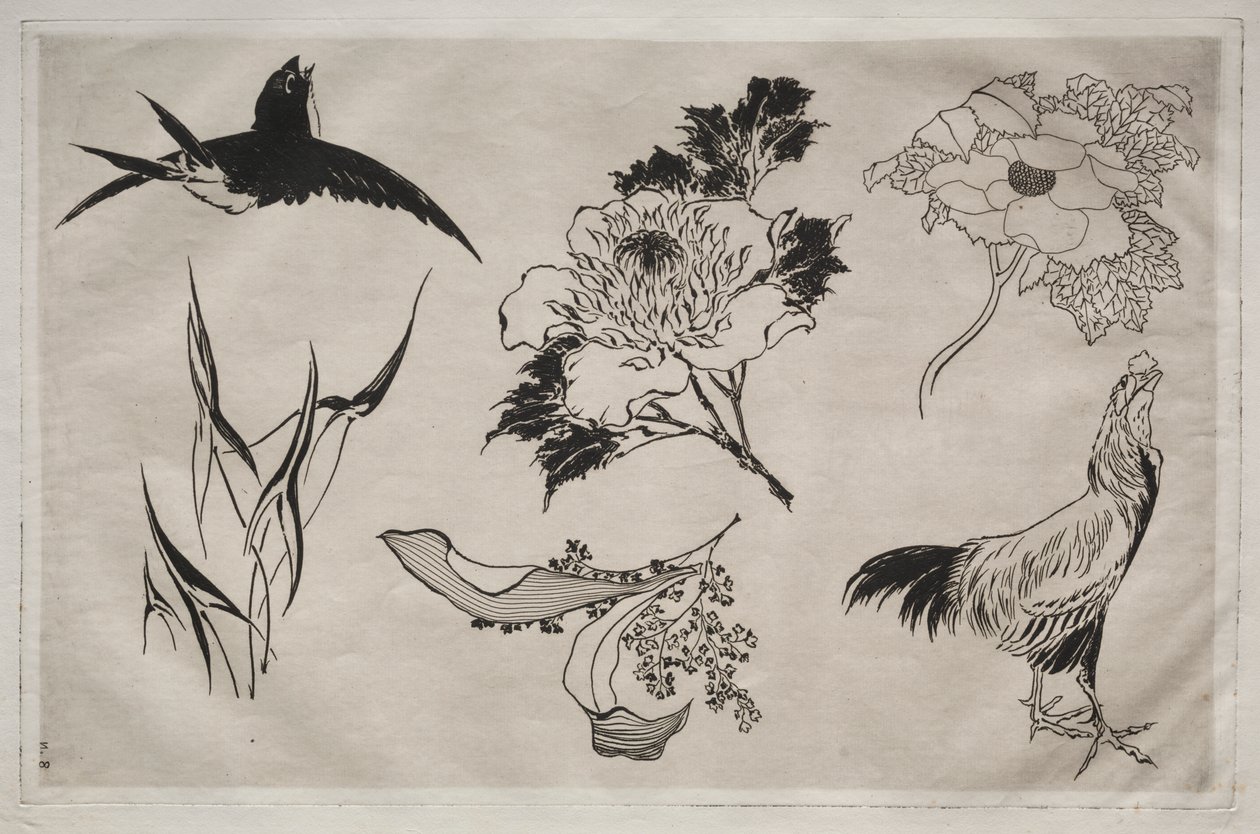 Servicio de Cena (servicio Rousseau): Golondrina, Gallo y Flores (n.º 8) de Giovanni Battista Piranesi